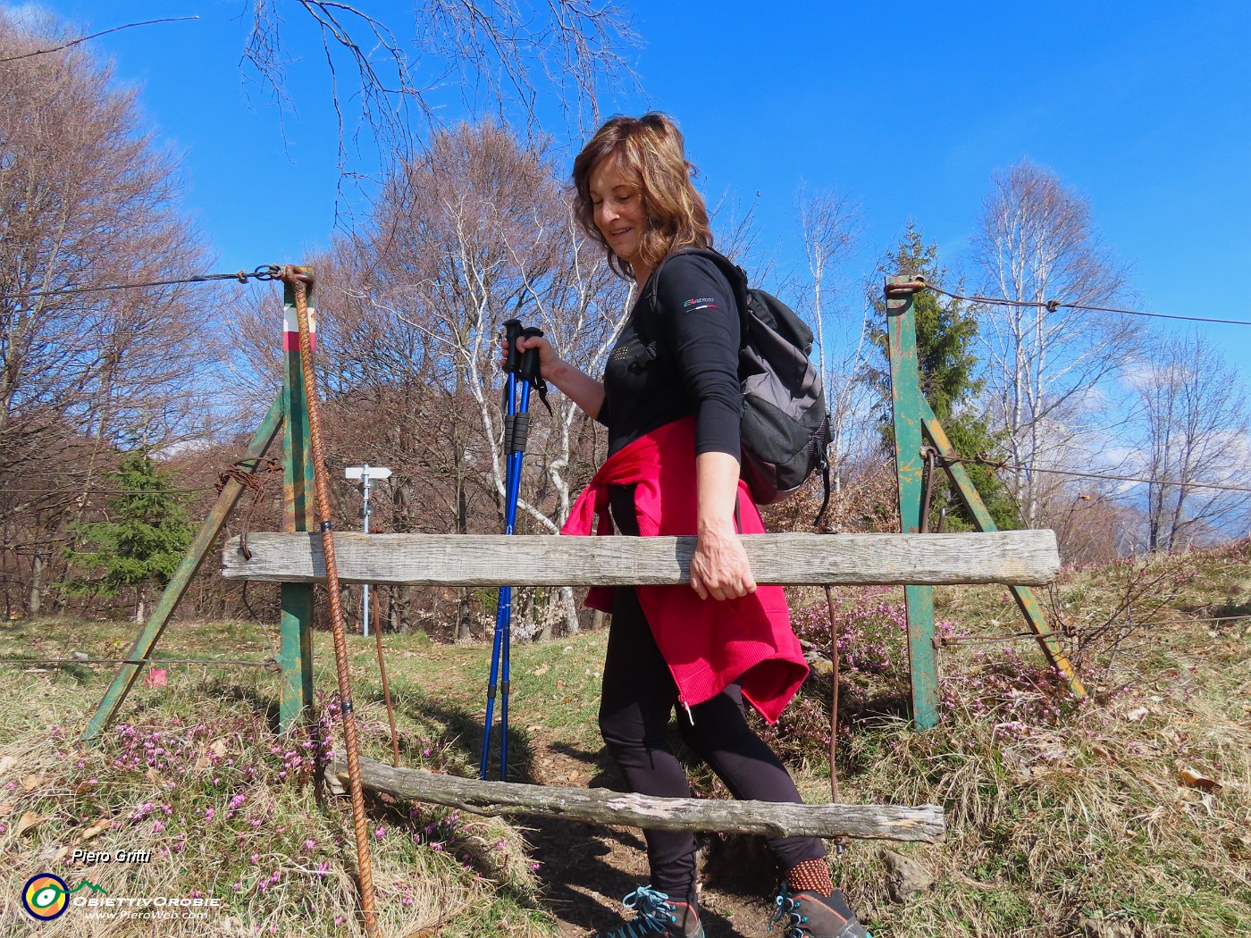 36 Per cortesaia aprire e poi chiudere-Animali al pascolo.JPG